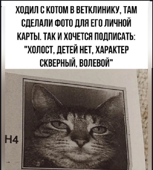 Картинки разные с надписями и без