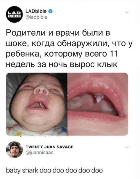 Картинки для деградации-6 (разной степени свежести)