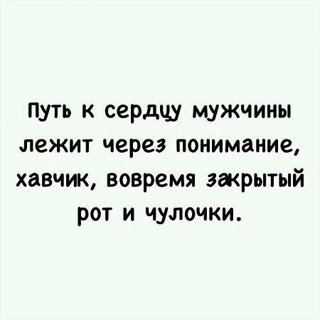 Нуштош 27.08.2025. Когнитивный декаданс (s4e8)