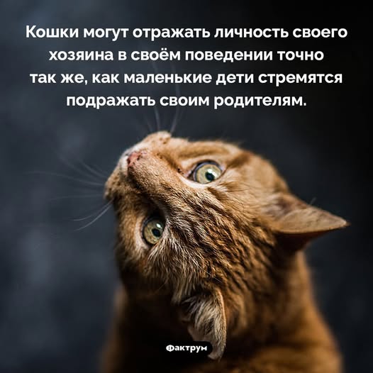 Четверговые разности в картинках