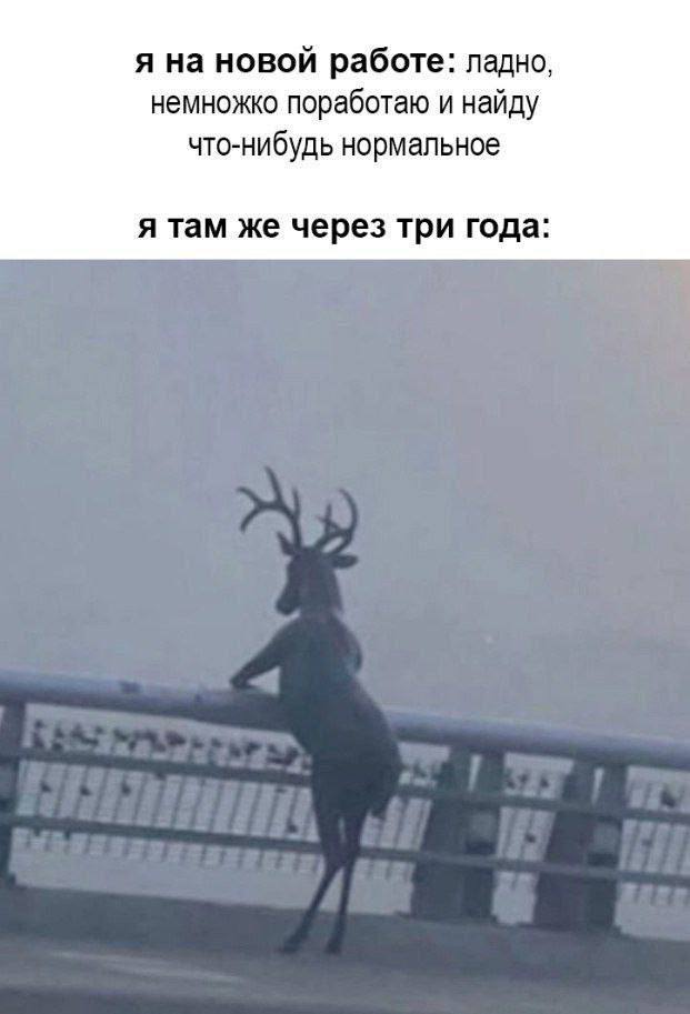 Картинки для деградации 100 (разной степени свежести)