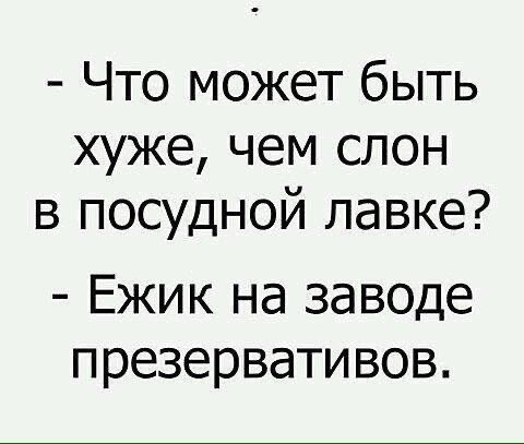 Веселых картинок вам в ленту