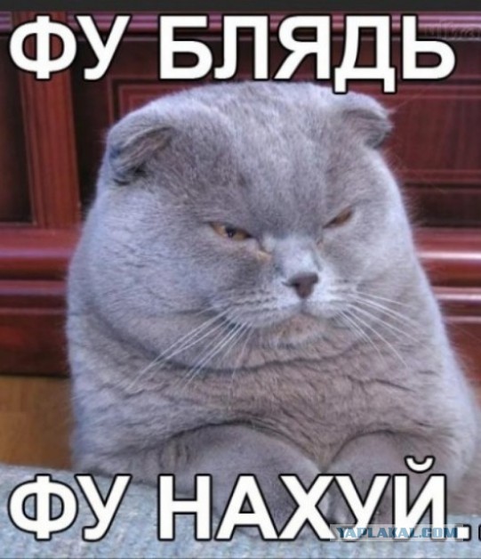 Кому невеста?