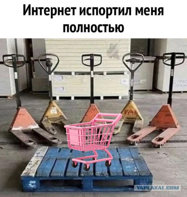 Картинки для деградации 269 (разной степени свежести)