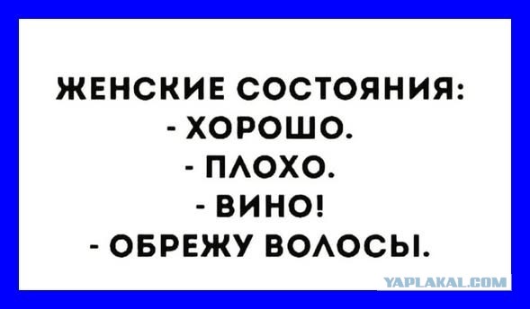 Картинки для деградации 284 (разной степени свежести)