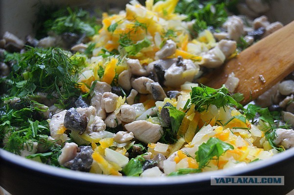 Ракушки фаршированные, Подосиновиками и курицей