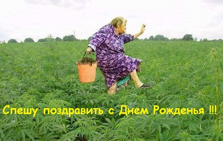 Чёрт, чёрт, чёрт!
