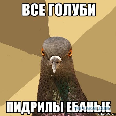 Вот это встреча!