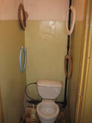 Необычные интерьеры туалета