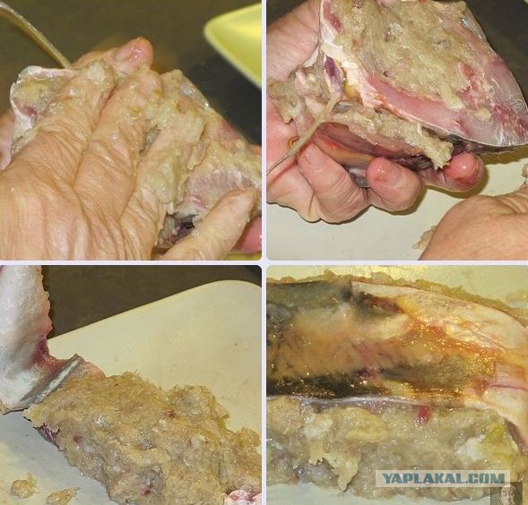 Гефилте фиш