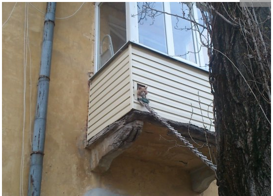 Пятничные картинки