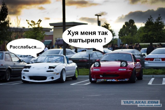 Алко-Нарко-Психо-Фармо и т.п. поборка