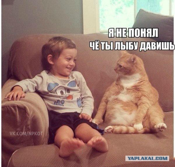 Веселые картинки