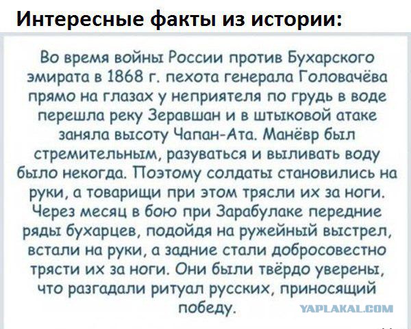 Картинки из интернета