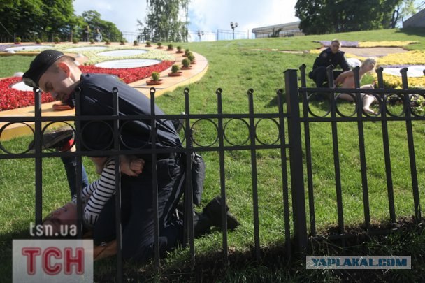 Femen пристроили талисманам Евро-2012 гениталии