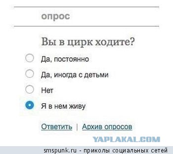 А вот так и живём