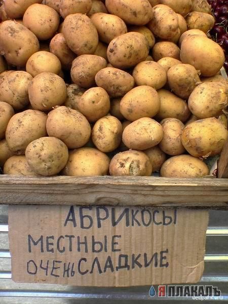 ОБЪЯВЛЕНИЯ. На стенах, в газетах, афиши.