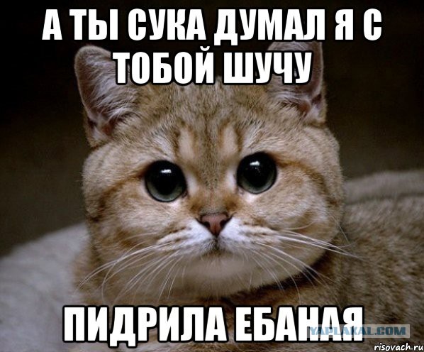 Активиста "Стопхам" пырнули ножом