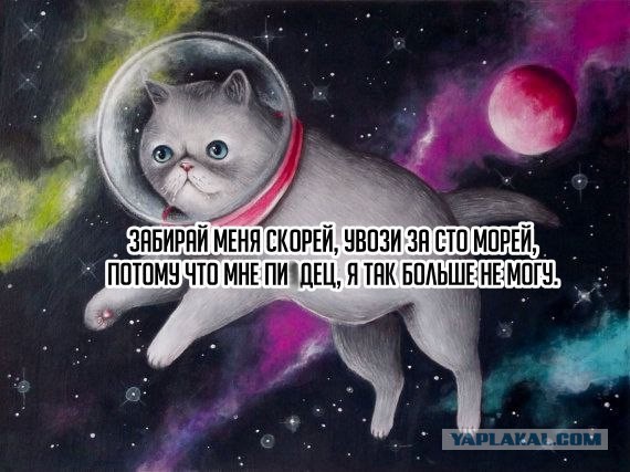 Лёгкой наркомании и тупости пост