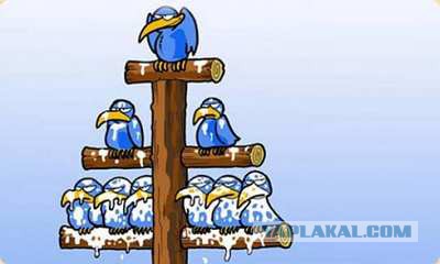 Как я запилил туалет на даче.