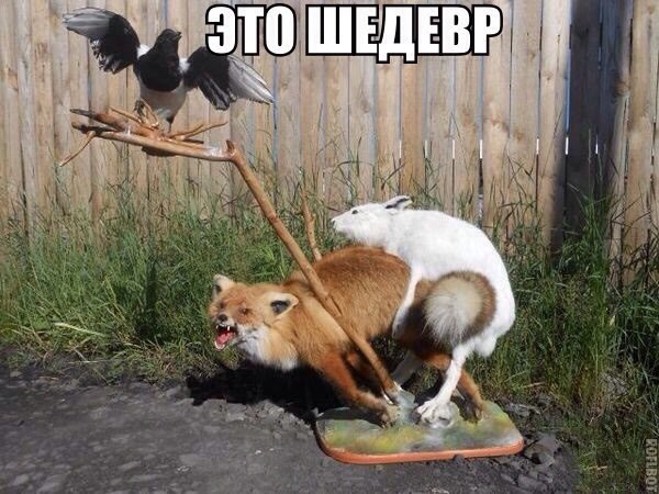 Прикольные картинки