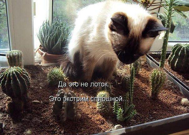 Всякого разного на пятницу!