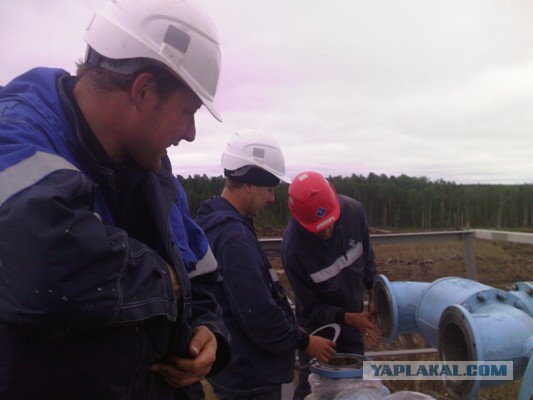Миф про вкалывающих на работе японцев