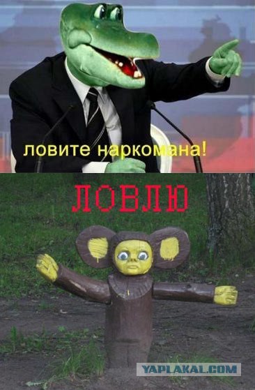 Что то пролетело над голландским шоссе