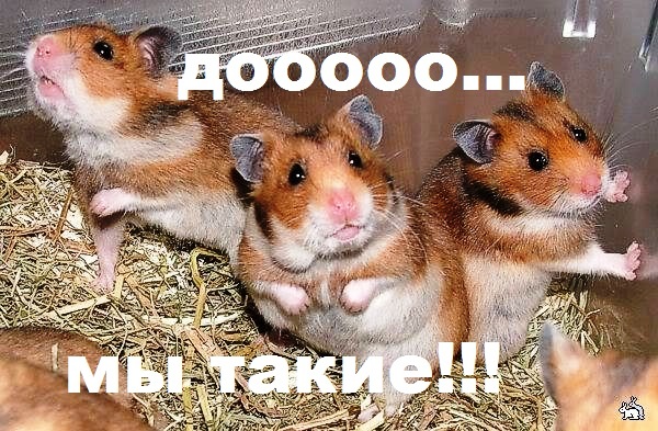 Легко, не зная человека облить его грязью...