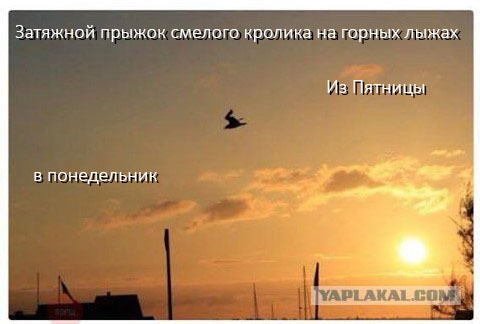 Подборка картинок