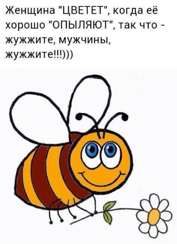 Скотсети и прочие интернеты 07.11.17
