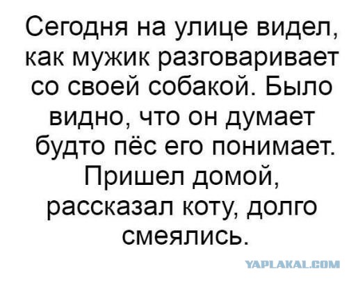 Смешные картинки с подписями