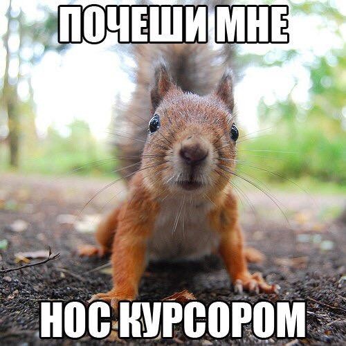 Выходные наступили, а мы весело тупили