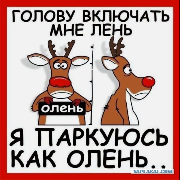 Тимуру Батрутдинову поцарапали автомобиль за 5 миллионов