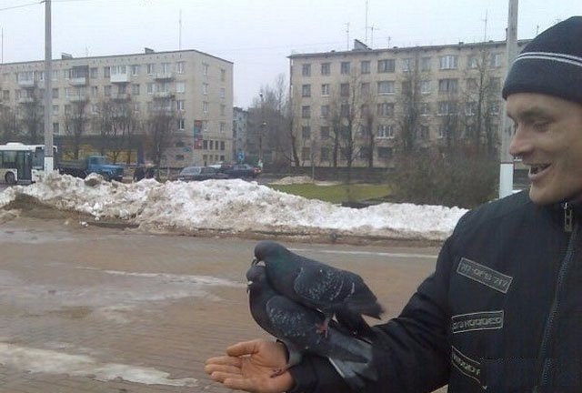 Милые животные. Мимиметр сломался