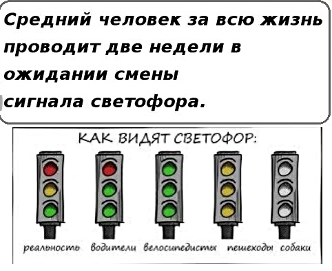 Анекдоты, истории и картинки с надписями