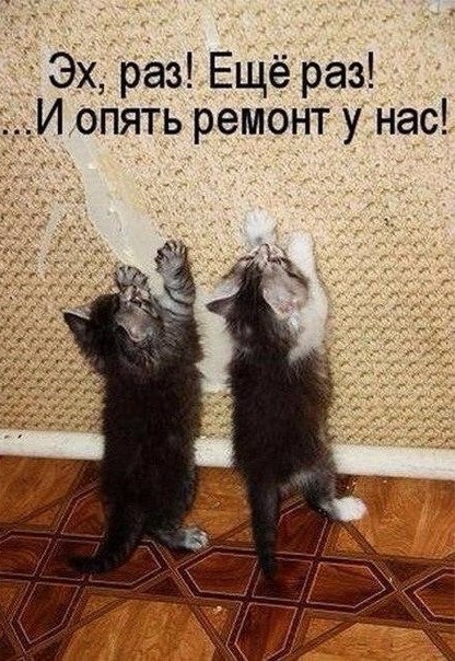 Абсолютно разный юмор в воскресных картинках