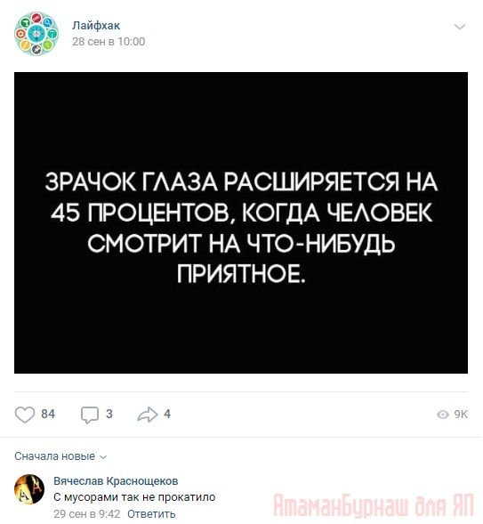 Комментарии к постам в разных группах, которые вызвали улыбку