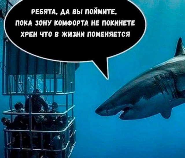 Смелость и отвага - уровень 99