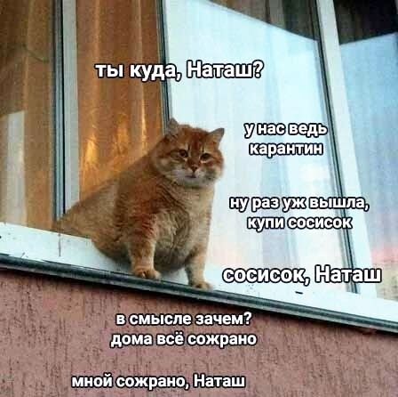 Чуток картинок 11.05.20