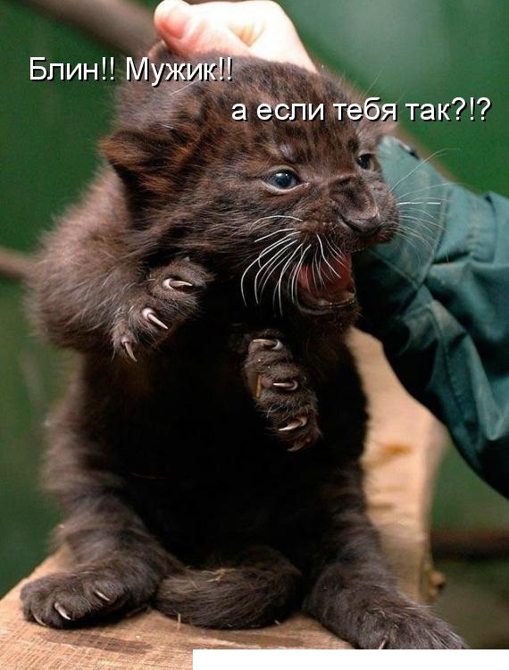 Старые картинки, продолжение