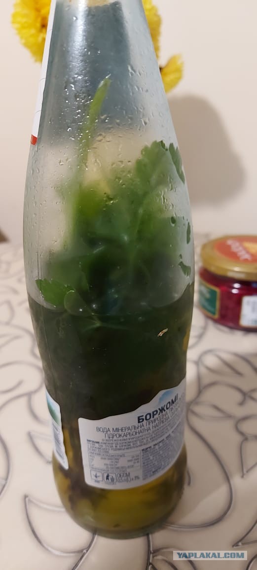 Арктический голец полу-горячего копчения.