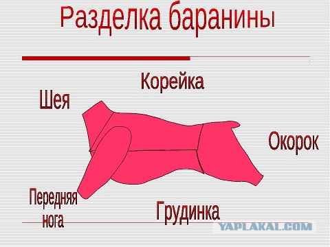 Обрили уже..