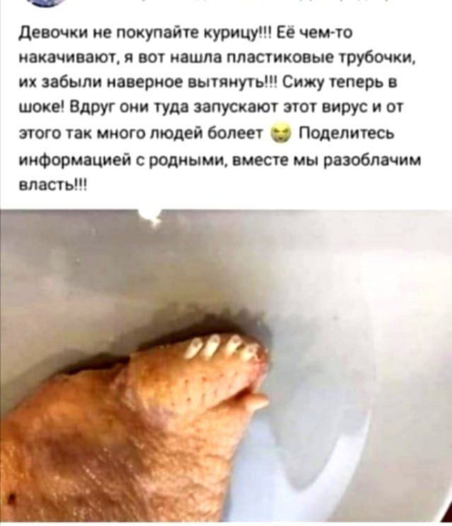Бабсятина