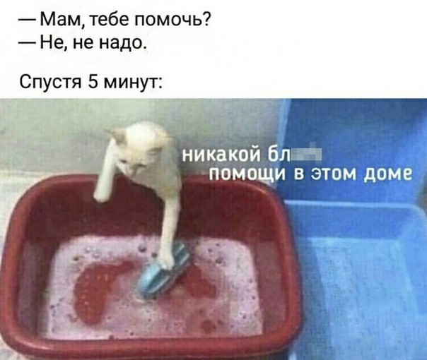 Так себе картинки 29.04.21