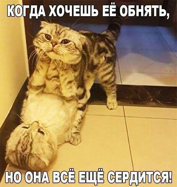 Всяческие картинки 29.06.2021