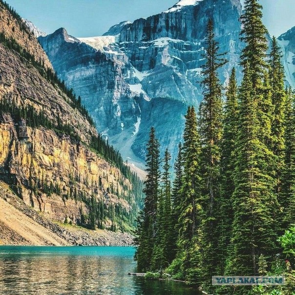 Картинки и мемы для настроения 04.08.2021