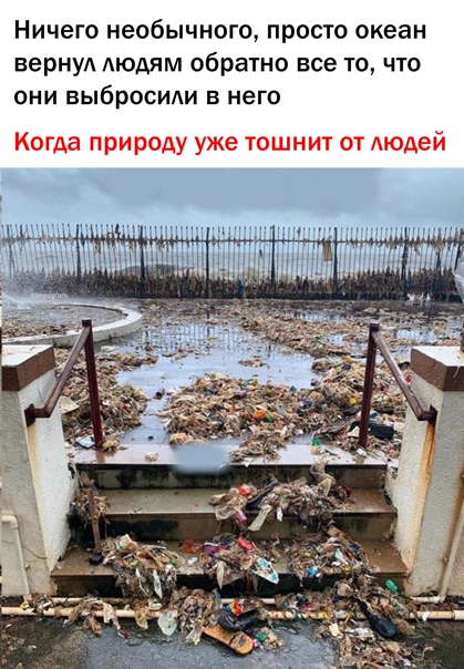 Так себе картинки 10.08.21