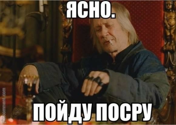 Почему они так много срут?
