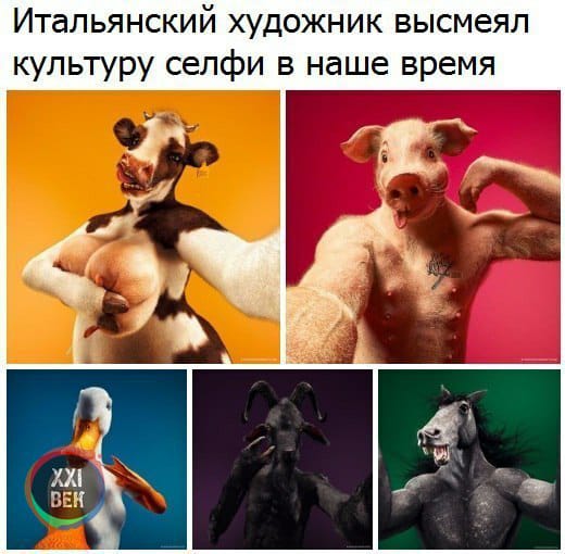 Картинки и мемы для настроения 16.11.2021